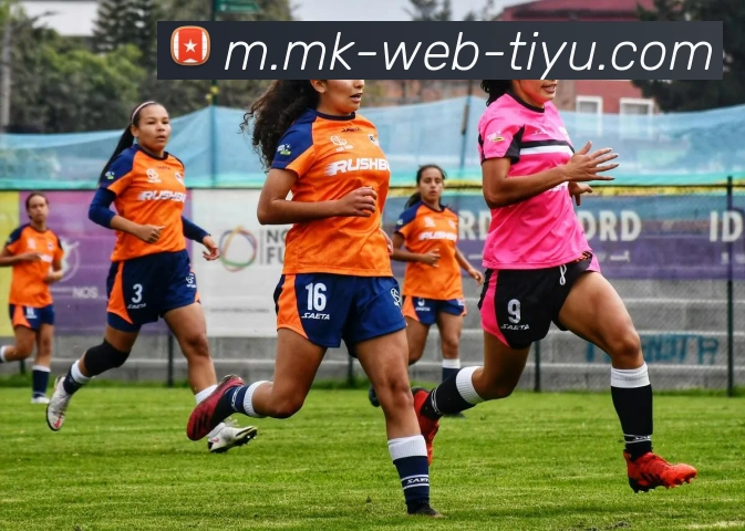 MK体育APP 封面图