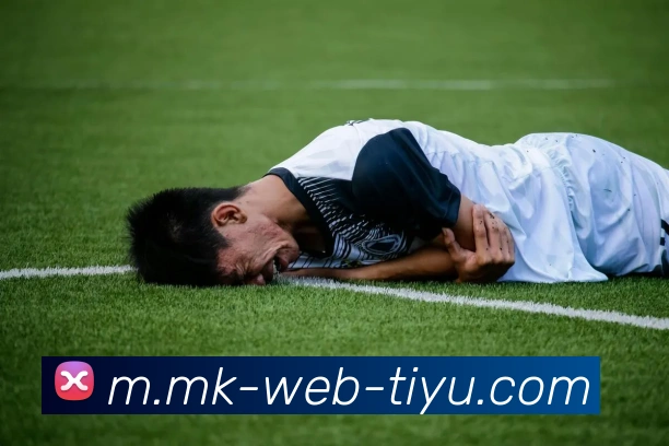 数据防护可视化